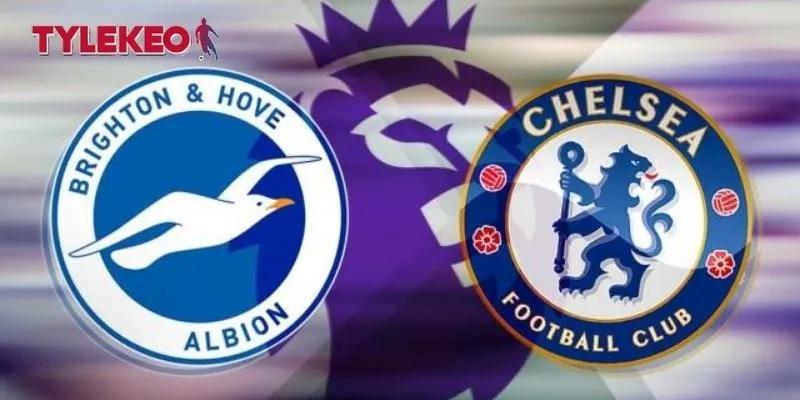 Trận đấu giữa Brighton vs Chelsea rất được mong chờ