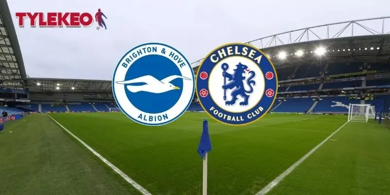 Nhận định kết quả trận bóng Brighton vs Chelsea