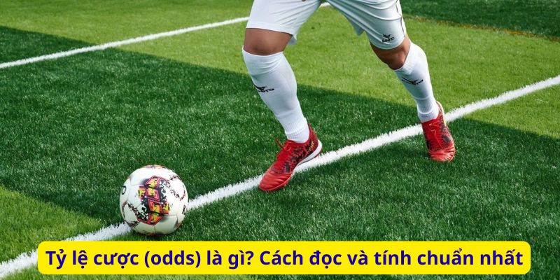 Tỷ lệ cược (odds) là gì? Cách đọc và tính chuẩn nhất