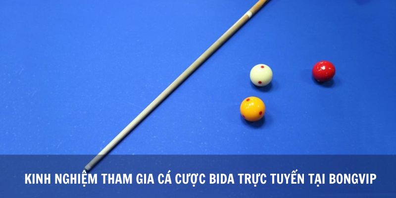 Kinh Nghiệm Tham Gia Cá Cược Bida Trực Tuyến Tại Bongvip
